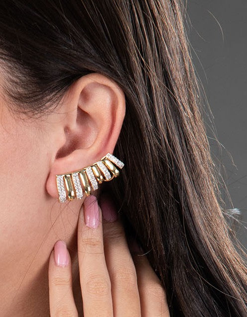 Earrings ( Ear cuffs)